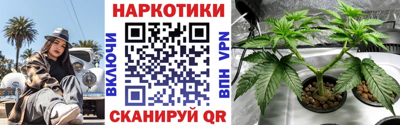 Купить наркотики цена Гатчина Кокаин  Гашиш  АМФЕТАМИН  Каннабис  A-PVP 