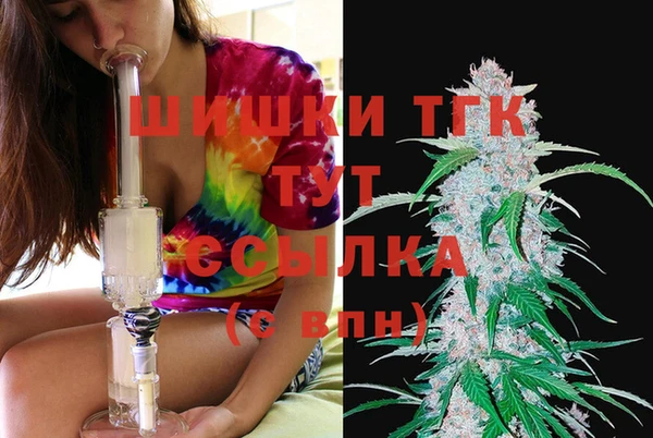 шишки Беломорск