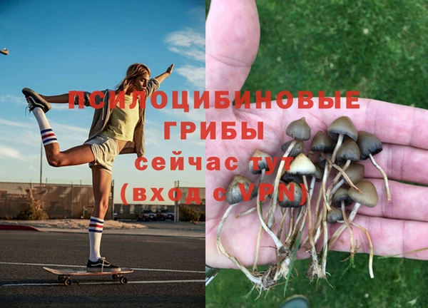 кристаллы Белокуриха