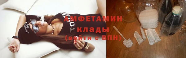 шишки Беломорск