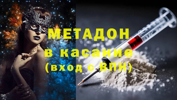 шишки Беломорск