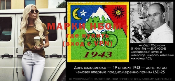 шишки Беломорск