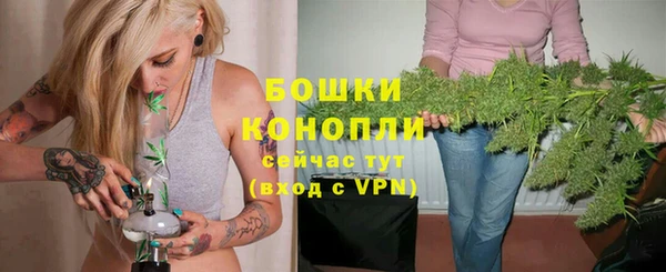 шишки Беломорск