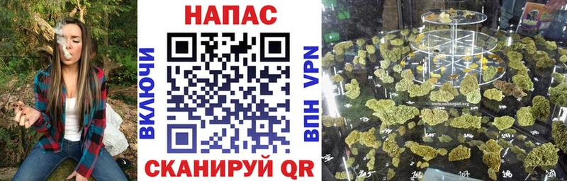 Шишки марихуана ГИДРОПОН  ссылка на мегу онион  Гатчина 
